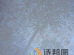 中國(guó)新型環(huán)保建材--買(mǎi)優(yōu)惠的綠色建材,就來(lái)詩(shī)邦圖-詩(shī)邦圖(中國(guó))品牌運(yùn)營(yíng)總部提供中國(guó)新型環(huán)保建材--買(mǎi)優(yōu)惠的綠色建材,就來(lái)詩(shī)邦圖的相關(guān)介紹、產(chǎn)品、服務(wù)、圖片、價(jià)格肌理漆、肌理壁膜、福建肌理漆、肌理壁膜漆代理、硅藻泥廠(chǎng)家、肌理液體壁紙、