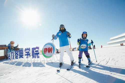 伊利前三季度營收穩健增長，液態乳基本盤穩固，多元化布局開拓新增長點