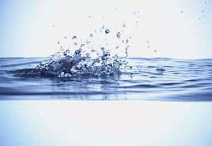 沖出水面的透明液體水馬與液體壁紙的震撼美學
